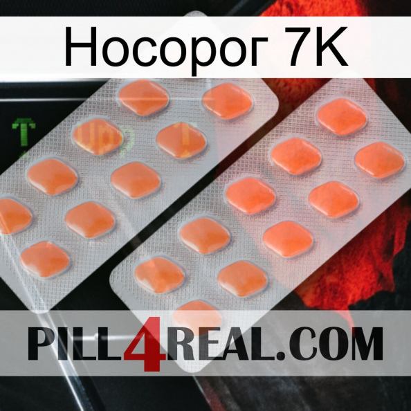 Носорог 7K 27.jpg